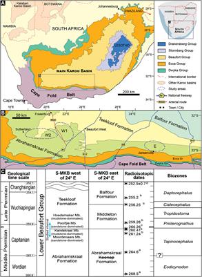 Stratigraphic Architecture of the Karoo River Channels at the End-Capitanian